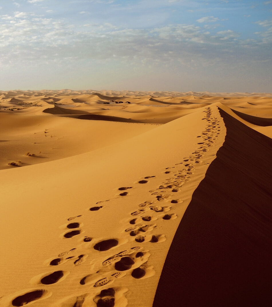 Get In Touch - Architect X Webflow Template